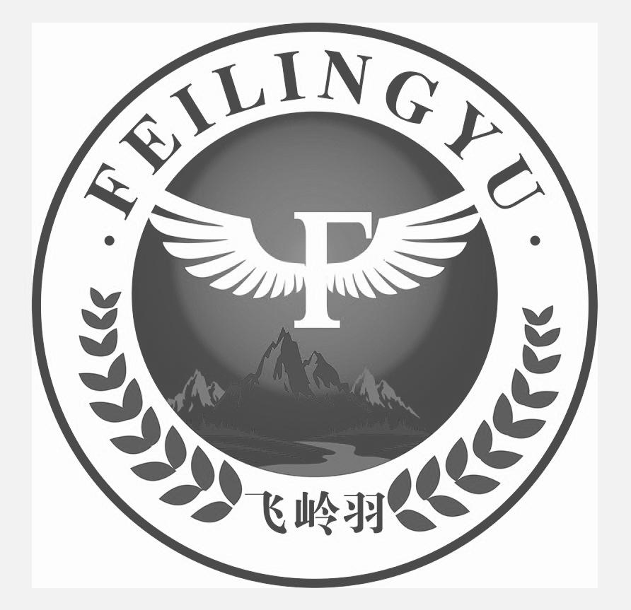 飞岭羽