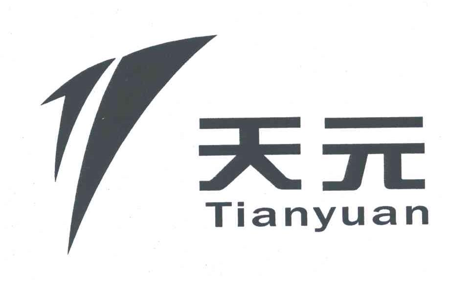 天元