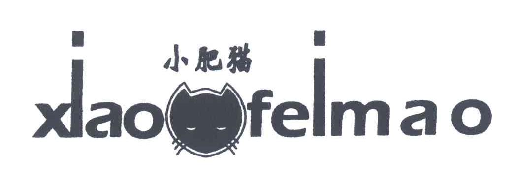 小肥猫