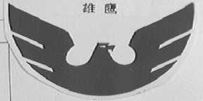 雄鹰