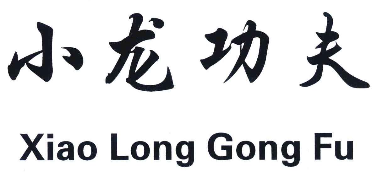 小龙功夫