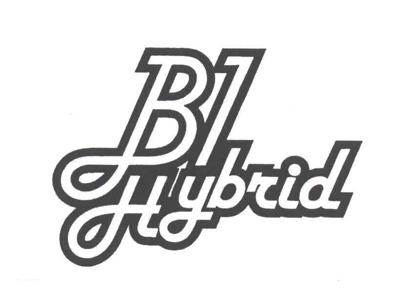 B1 HYBRID