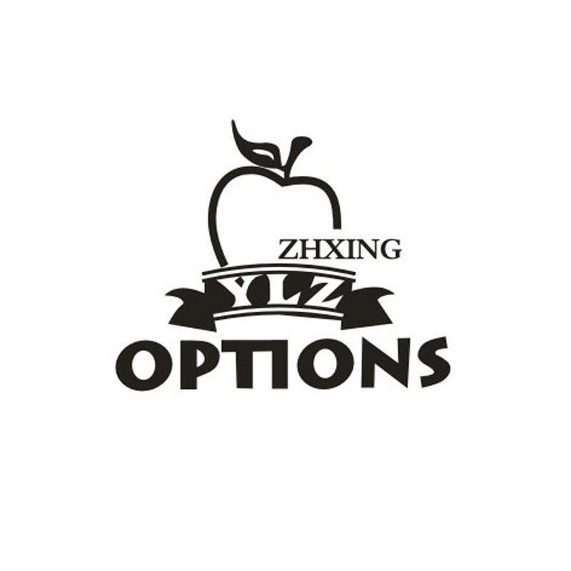 ZHXING YLZ OPTIONS