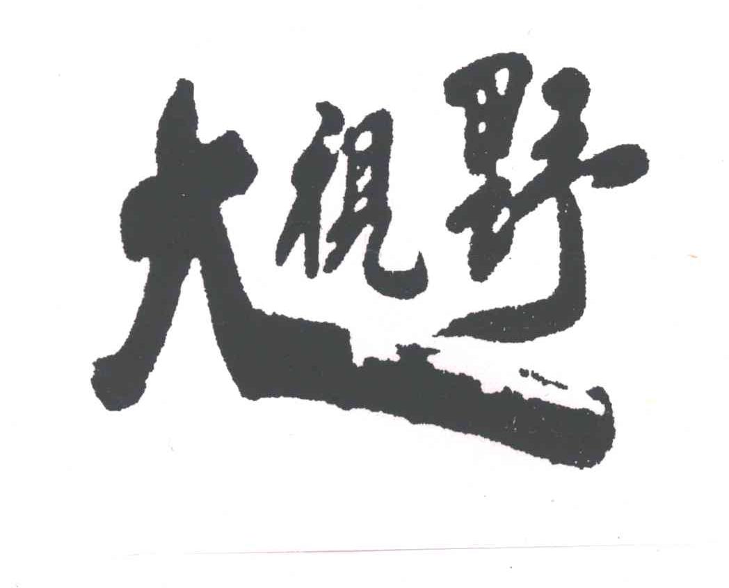大视野