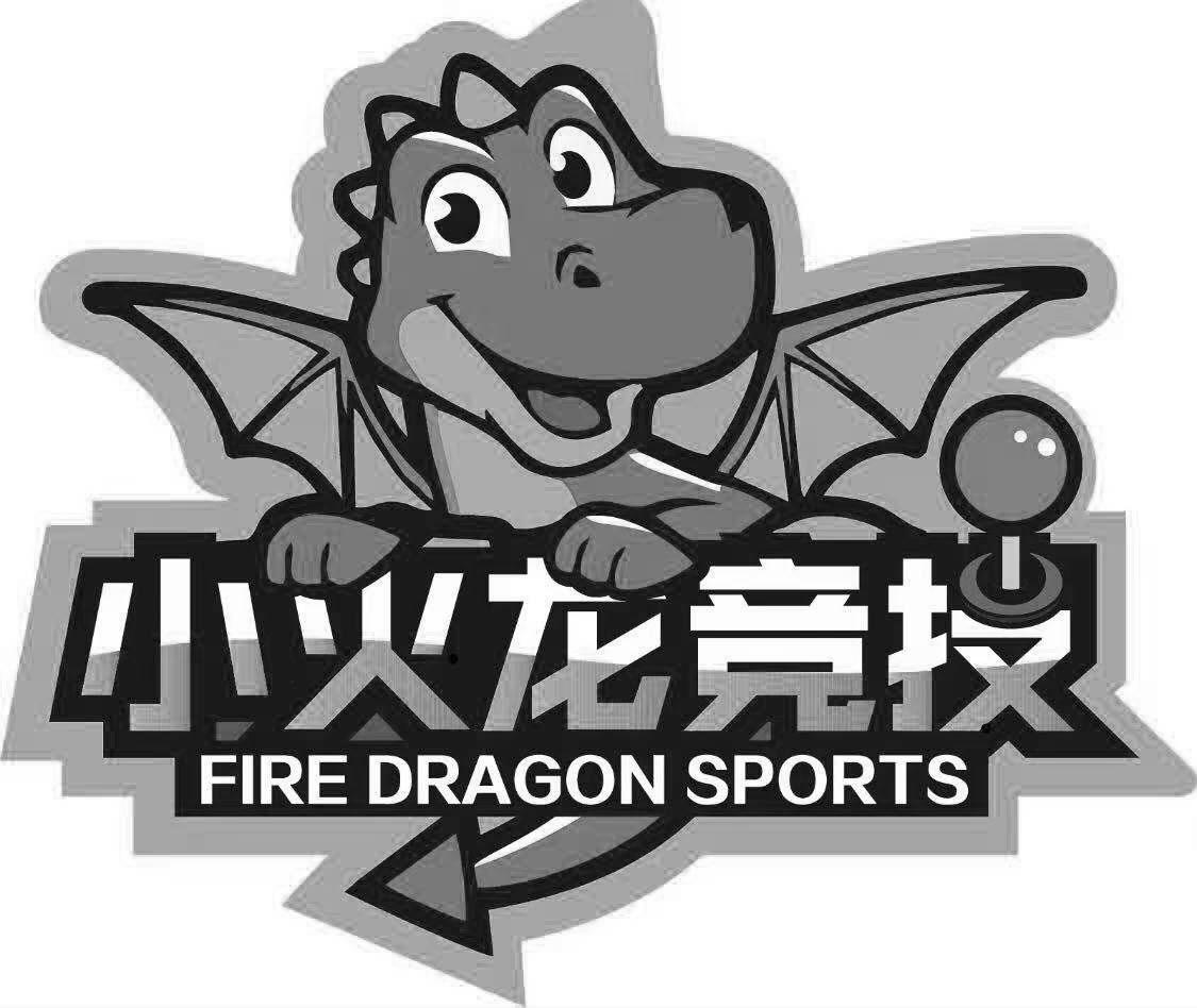 小火龙竞技 FIRE DRAGON SPORTS