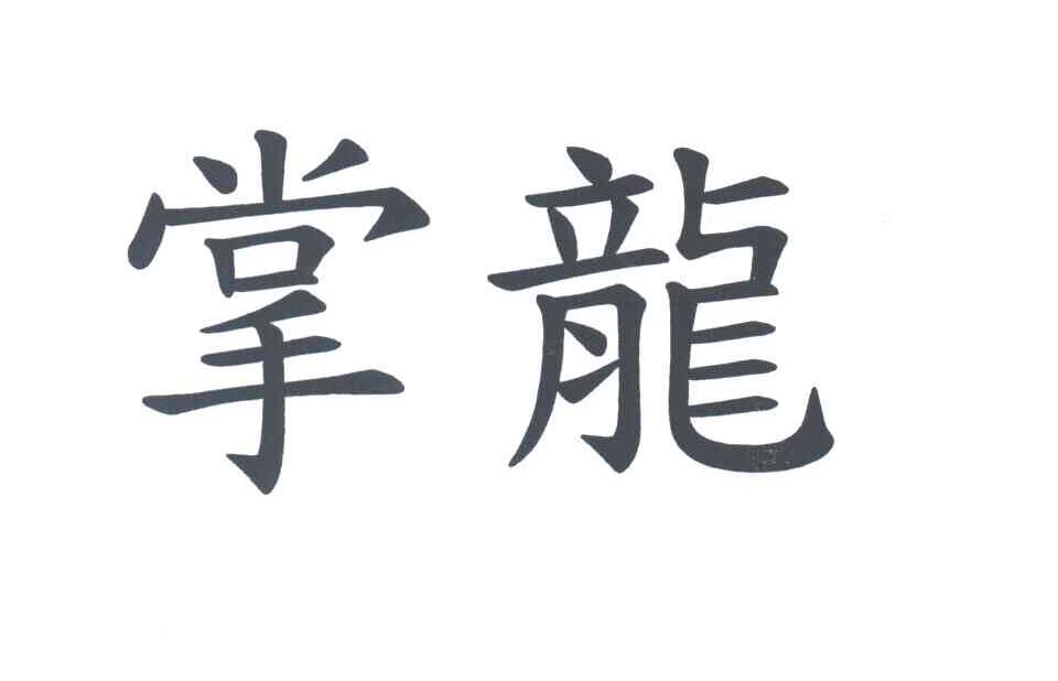 掌龙