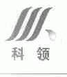 科领