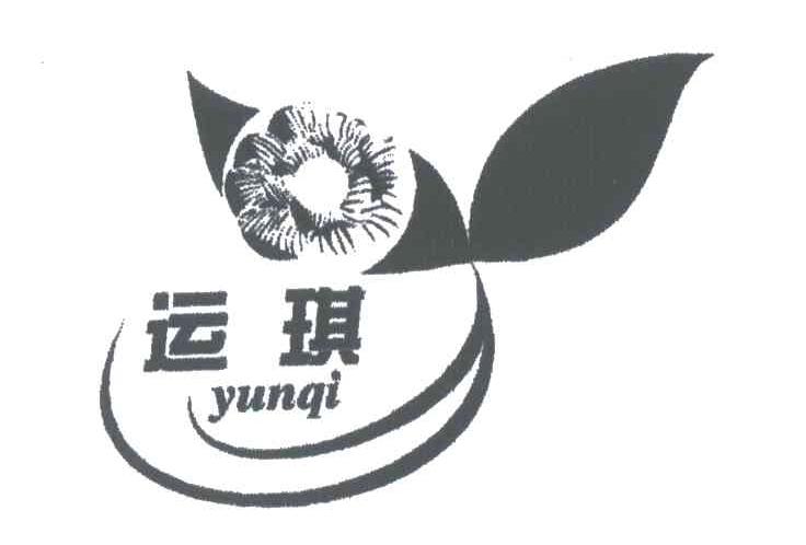 运琪