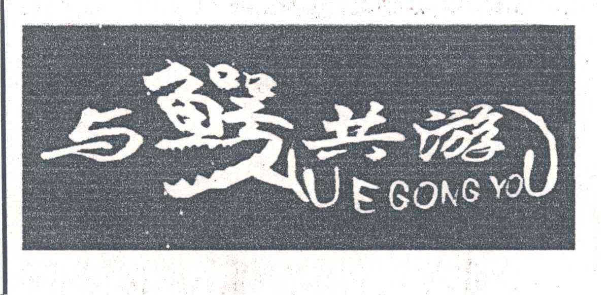 与鳄共游