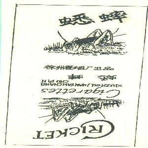 蟋蟀  CRICKET