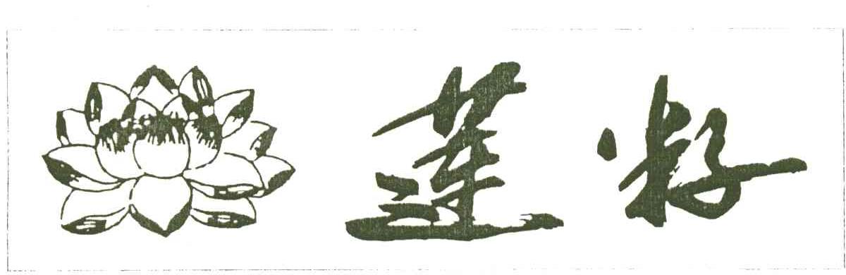 莲籽