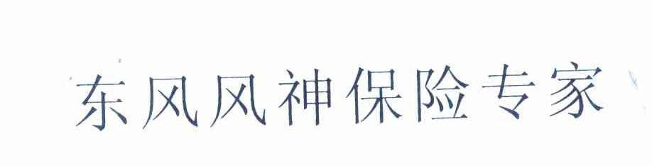 东风风神保险专家