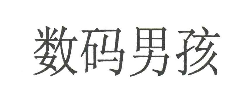 数码男孩