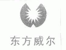 东方威尔