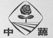 中蔬