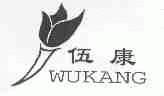 伍康