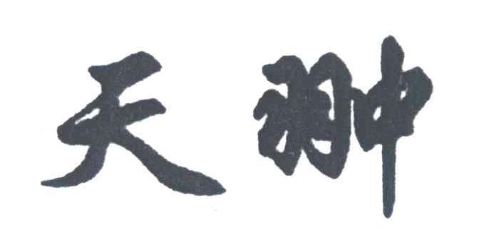 天翀