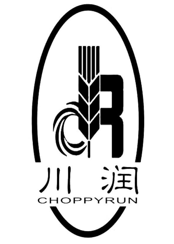 川润 CHOPPYRUN CR