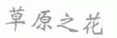 草原之花