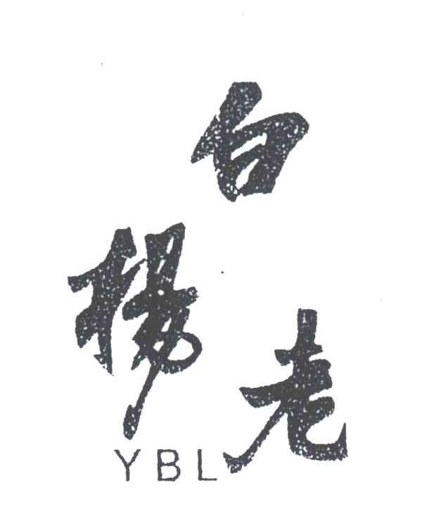 扬白老