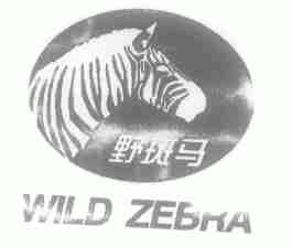 野斑马;WILD ZEBRA
