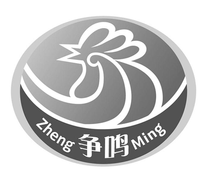 争鸣