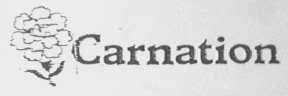 CARNATION