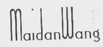MAIDANWANG