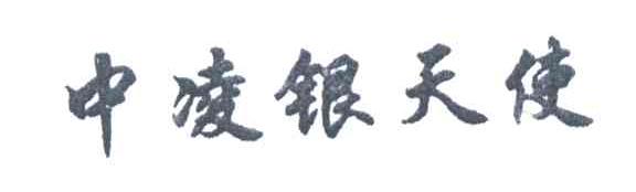 中凌银天使