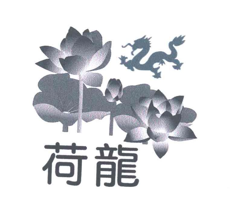 荷龙