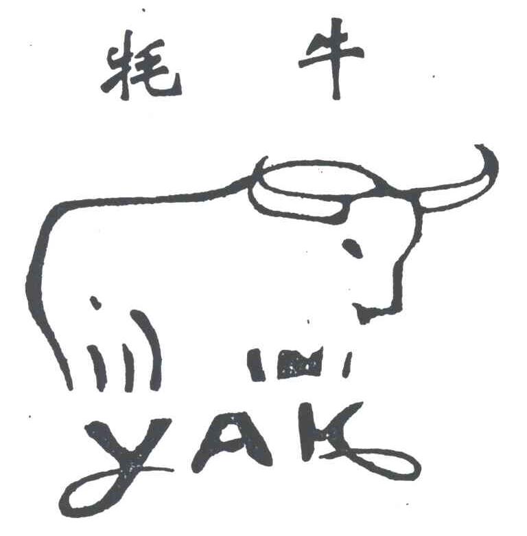 牦牛