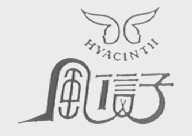 风信子    HYACINTH