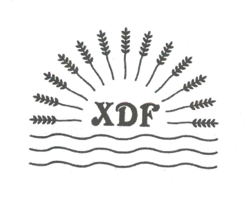 XDF