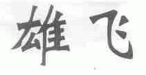 雄飞