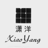 潇洋