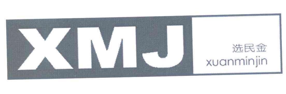 选民金 XMJ