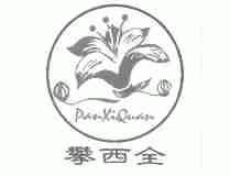 攀西全