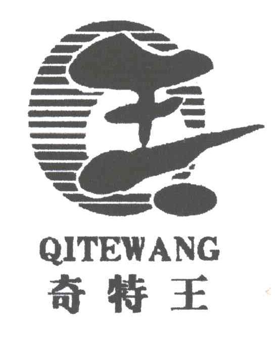 奇特王;王QITEWANG及图