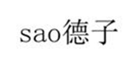SAO 德子