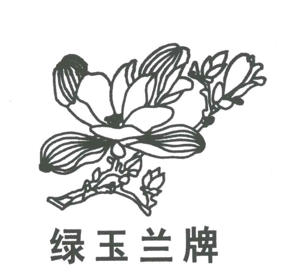 绿玉兰牌