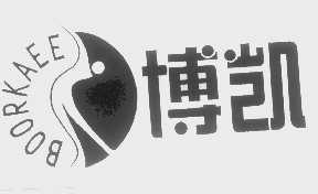 博凯   BOORKAEE