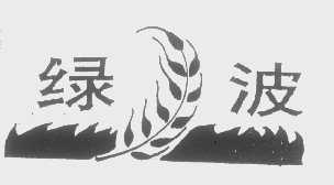 绿波