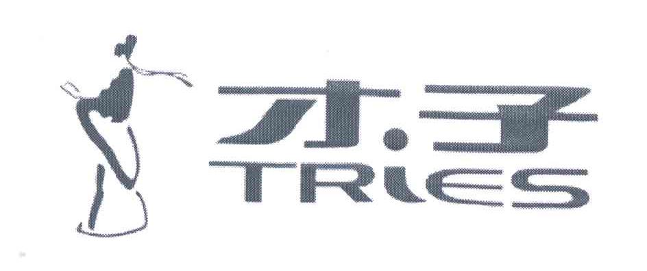 才子;TRIES