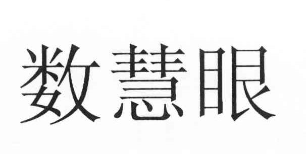 数慧眼