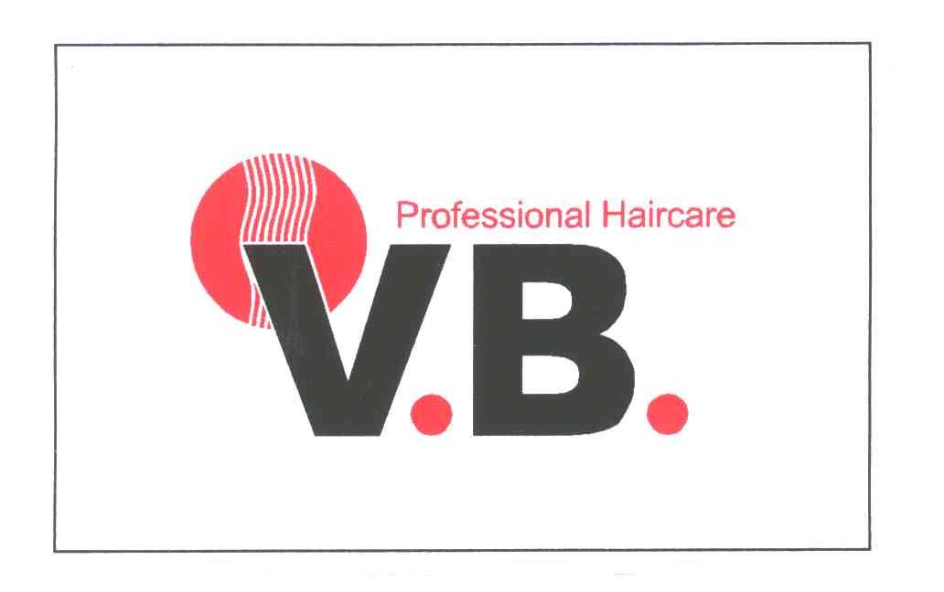 VB;PROFESSIONAL HAIRCARE