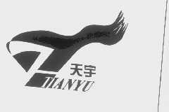 天宇