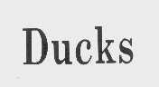 DUCKS