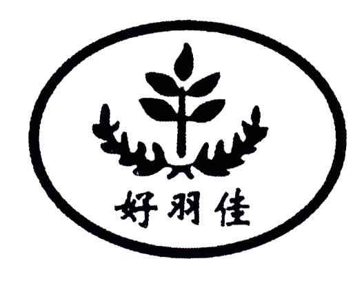 好羽佳