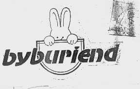 BYBUPIEND