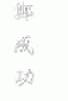 郑成功